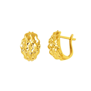 14 Carat Gold Sparkle Earrings